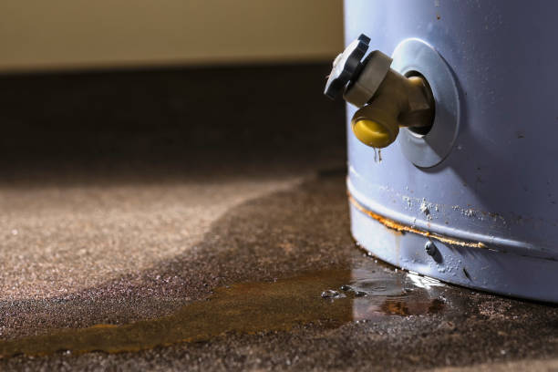 Best Water damage mitigation services  in Flatwoods, KY
