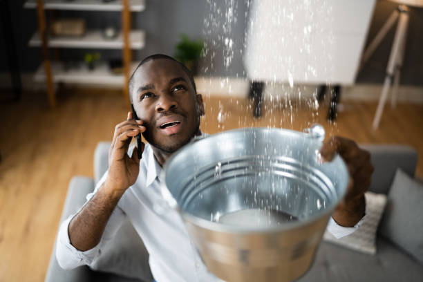 Best Emergency water damage restoration  in Flatwoods, KY