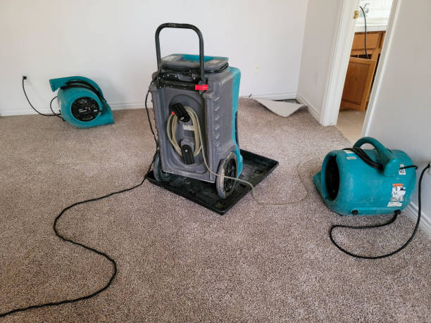  Flatwoods, KY Water damage restoration Pros