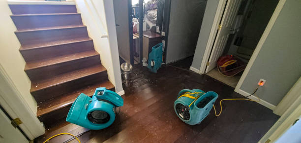Flatwoods, KY Water damage restoration Company