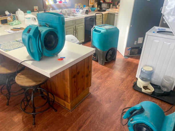 Sewage cleanup and water damage restoration in Flatwoods, KY