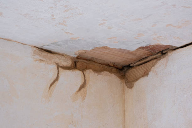 Best Water damage cleanup near me  in Flatwoods, KY