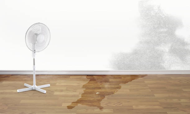 Best 24-hour water damage restoration  in Flatwoods, KY