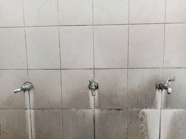 Best Ceiling water damage repair  in Flatwoods, KY