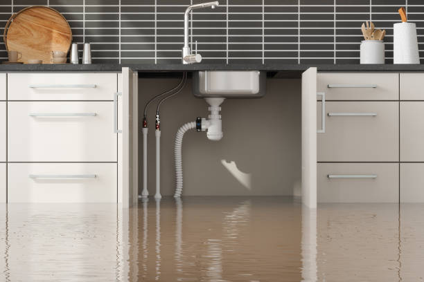 Best Fire Damage Restoration  in Flatwoods, KY