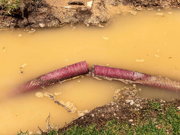 Best Professional water damage repair  in Flatwoods, KY