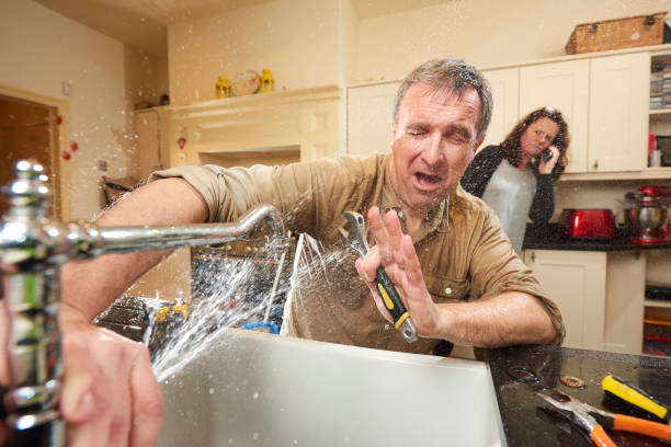 Best Local water damage restoration  in Flatwoods, KY